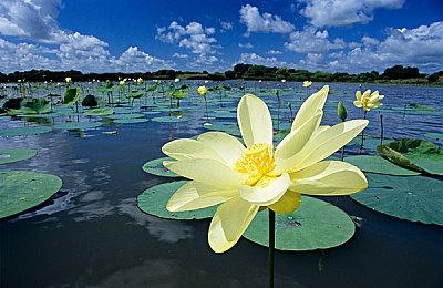 《Arc Raiders》将于10月底正式发售 夏季游戏节预告赏