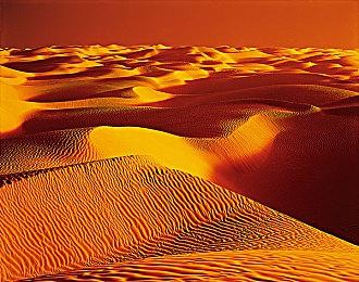 动视暴雪玩家数量暴跌 只因痛失中国庞大玩家群体